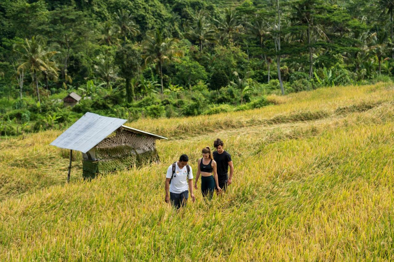 Wapa Di Ume Sidemen Ξενοδοχείο Εξωτερικό φωτογραφία A rice field in Bali
